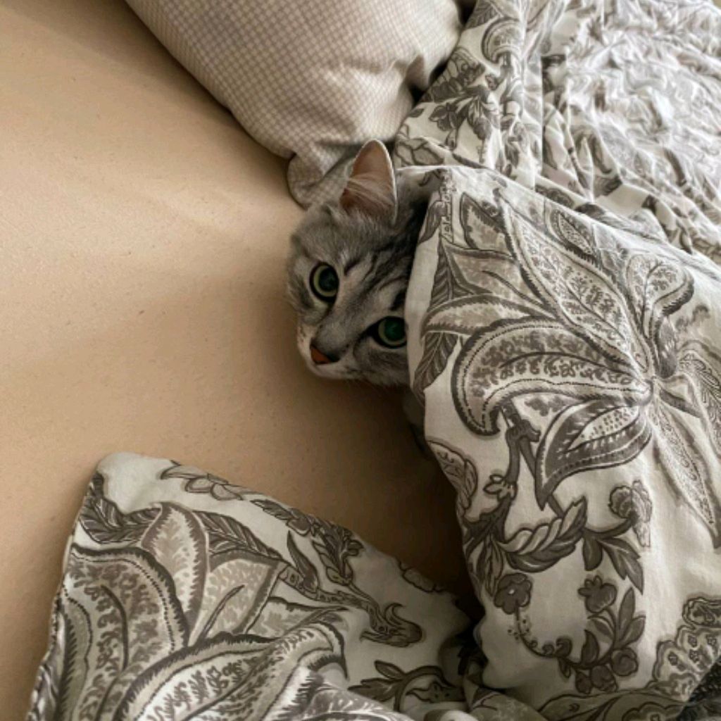 Иконка канала Артём