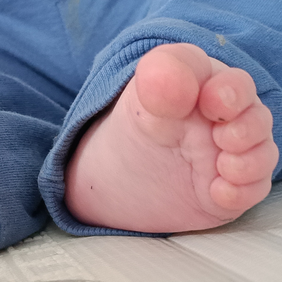 Иконка канала Пельмешки