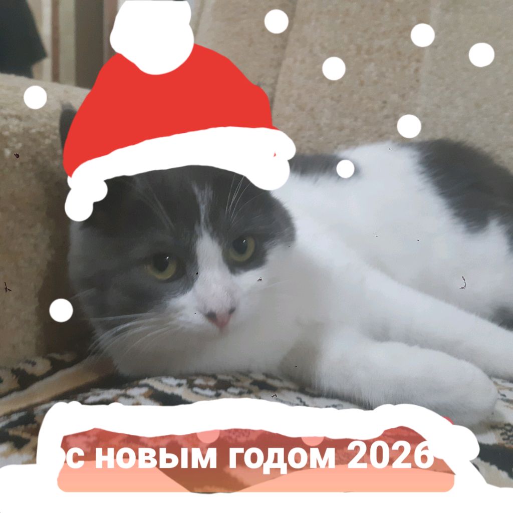 Иконка канала °☆Danil play 12k☆°