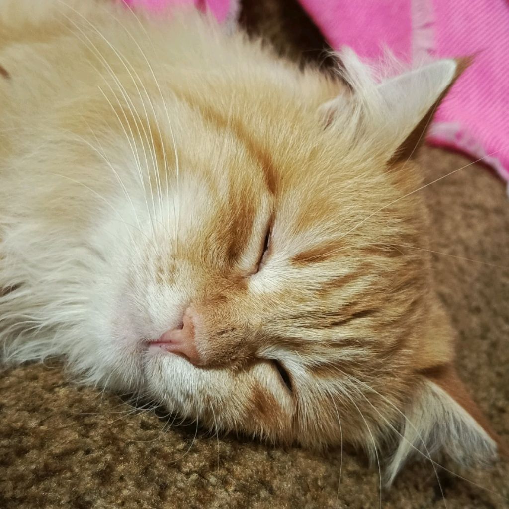 Иконка канала Ваня