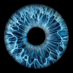 Иконка канала СНЫ_АНДРОННИКА