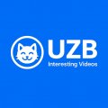 Иконка канала UZB o'zbekcha videolar