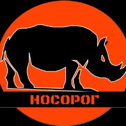 Иконка канала Nosorognn