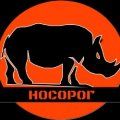 Иконка канала Nosorognn