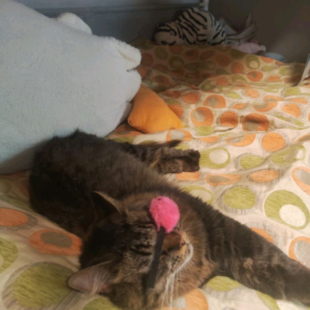 Иконка канала Алёникс