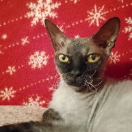 Иконка канала Просто Муня🫰