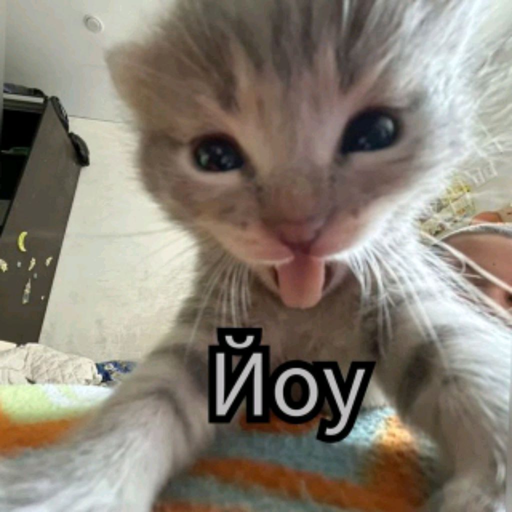 Иконка канала Кореч