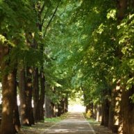 Иконка канала andreym2004