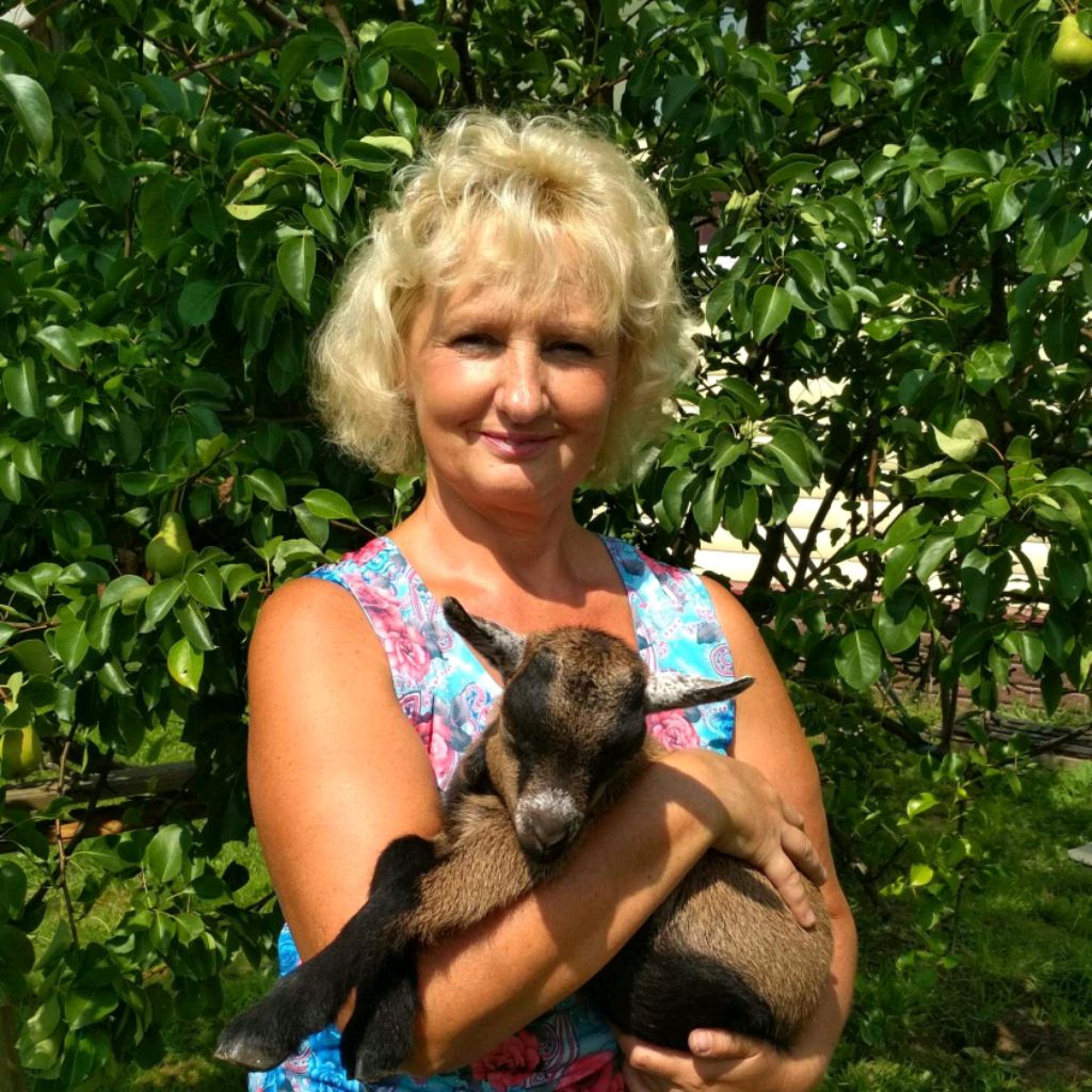 Иконка канала Светлана Семенова