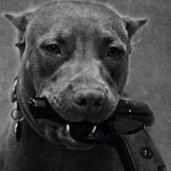 Иконка канала FSB444