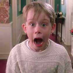 Иконка канала ЛПХ #ЮЖНЫЙ ВЕТЕР#