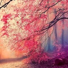 Иконка канала евочка