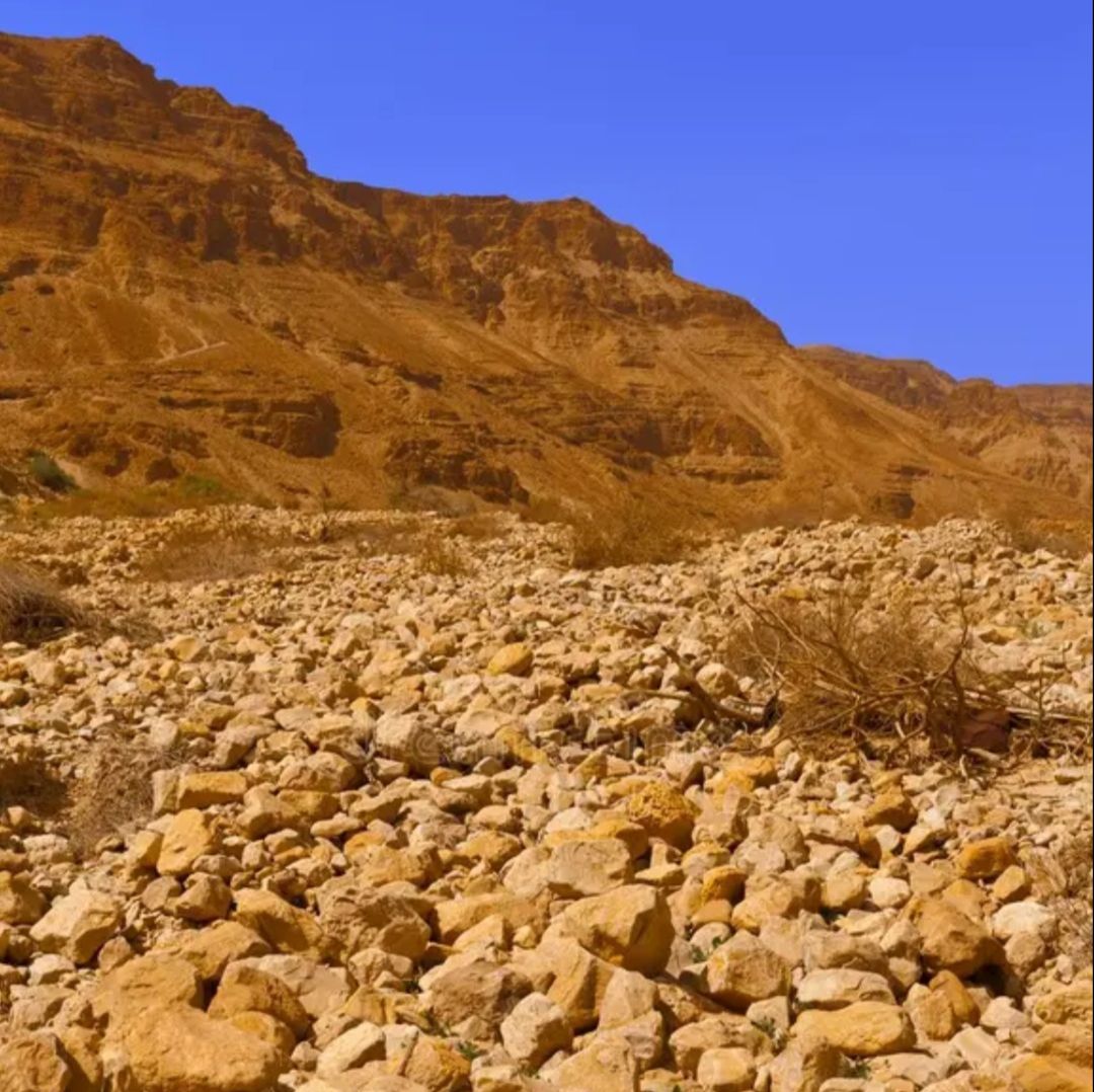 Иконка канала "ПОЮЩИЕ КАМНИ" (ВАИ)