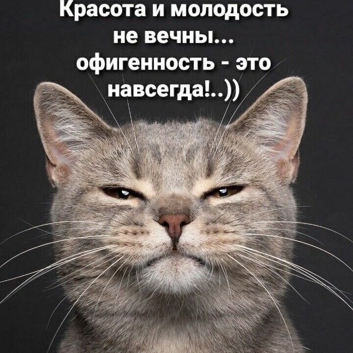 Иконка канала Je4Pro