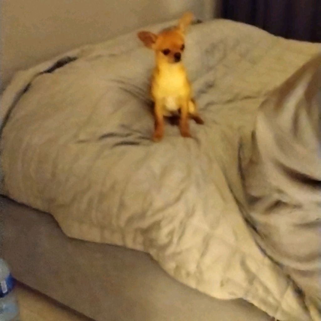 Иконка канала Артём Гейм 😁😁