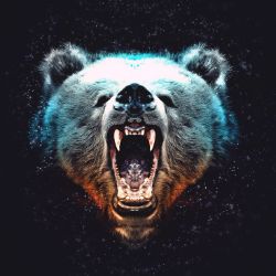 Иконка канала Bear38