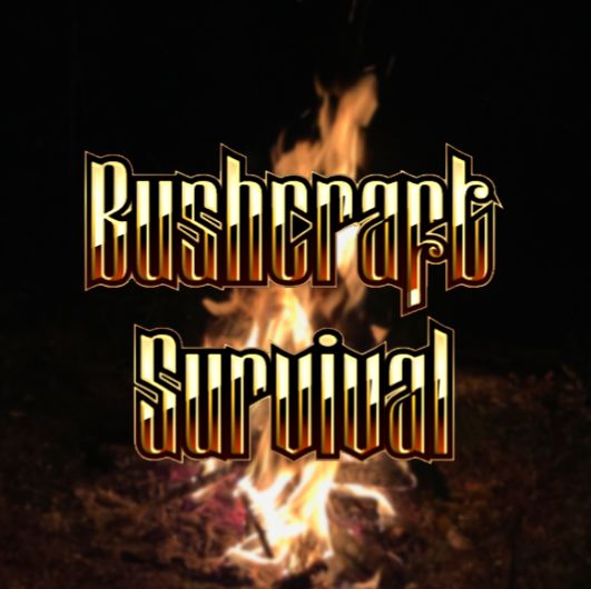 Иконка канала Бушкрафт Выживание и Дикая Кухня АСМР