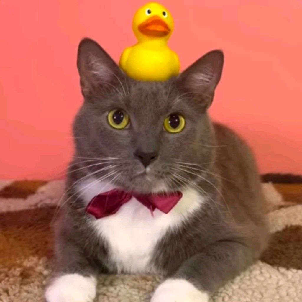 Иконка канала Лотков