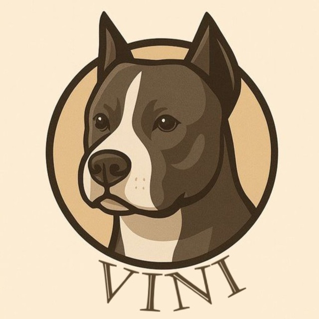 Иконка канала Vini