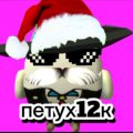 Иконка канала Петух12к🎅