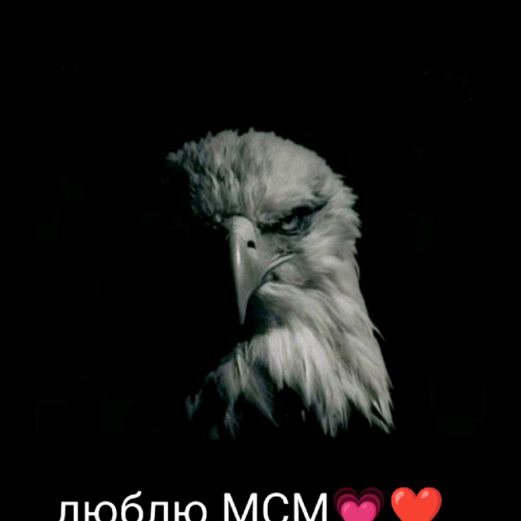 Иконка канала Driaritivol13