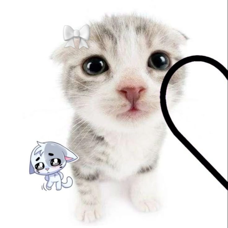 Иконка канала 🐧Mary_stor🐧