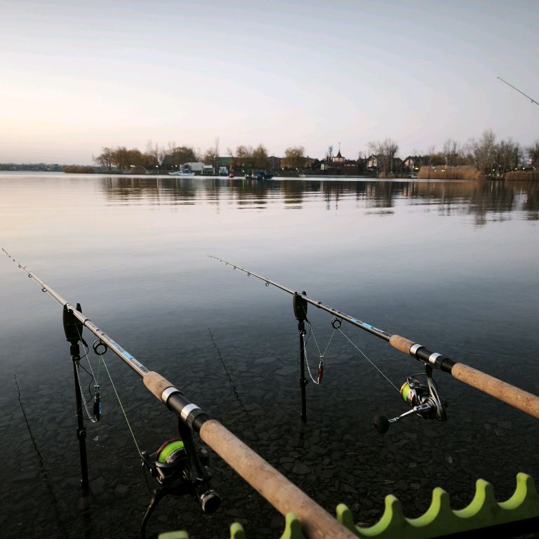 Иконка канала Тихий Дон-Дикий Юг