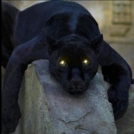 Иконка канала alinakis999