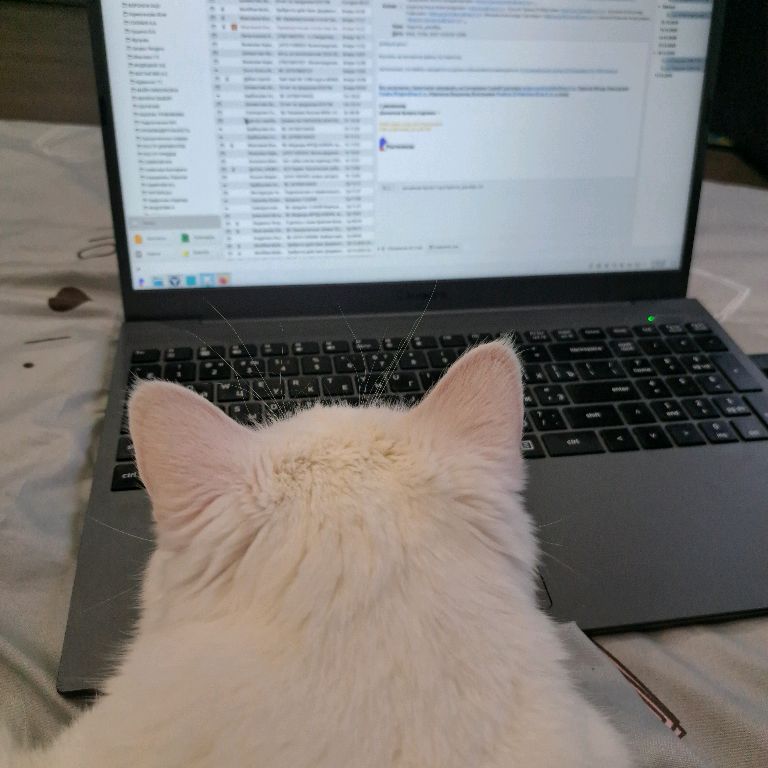 Иконка канала МусяДуся