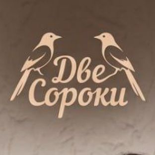 Иконка канала Канал: "Две сороки"