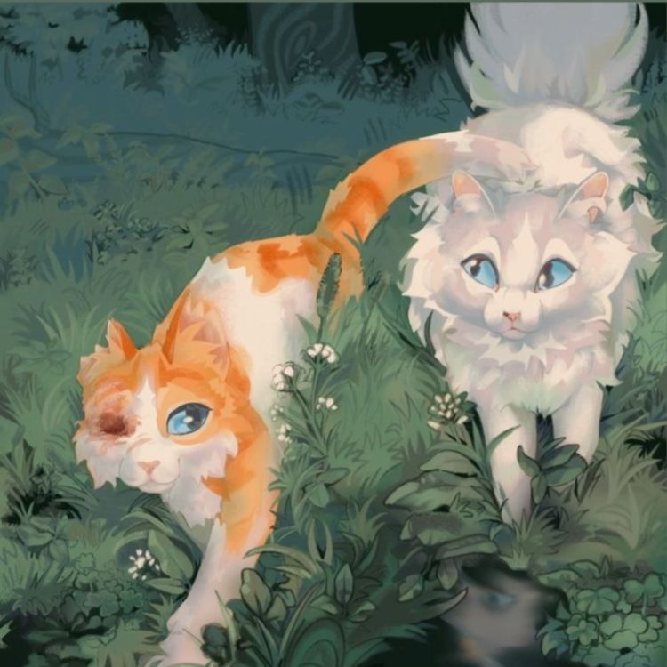 Иконка канала Коты-воители ⚡(Голубоглазка)