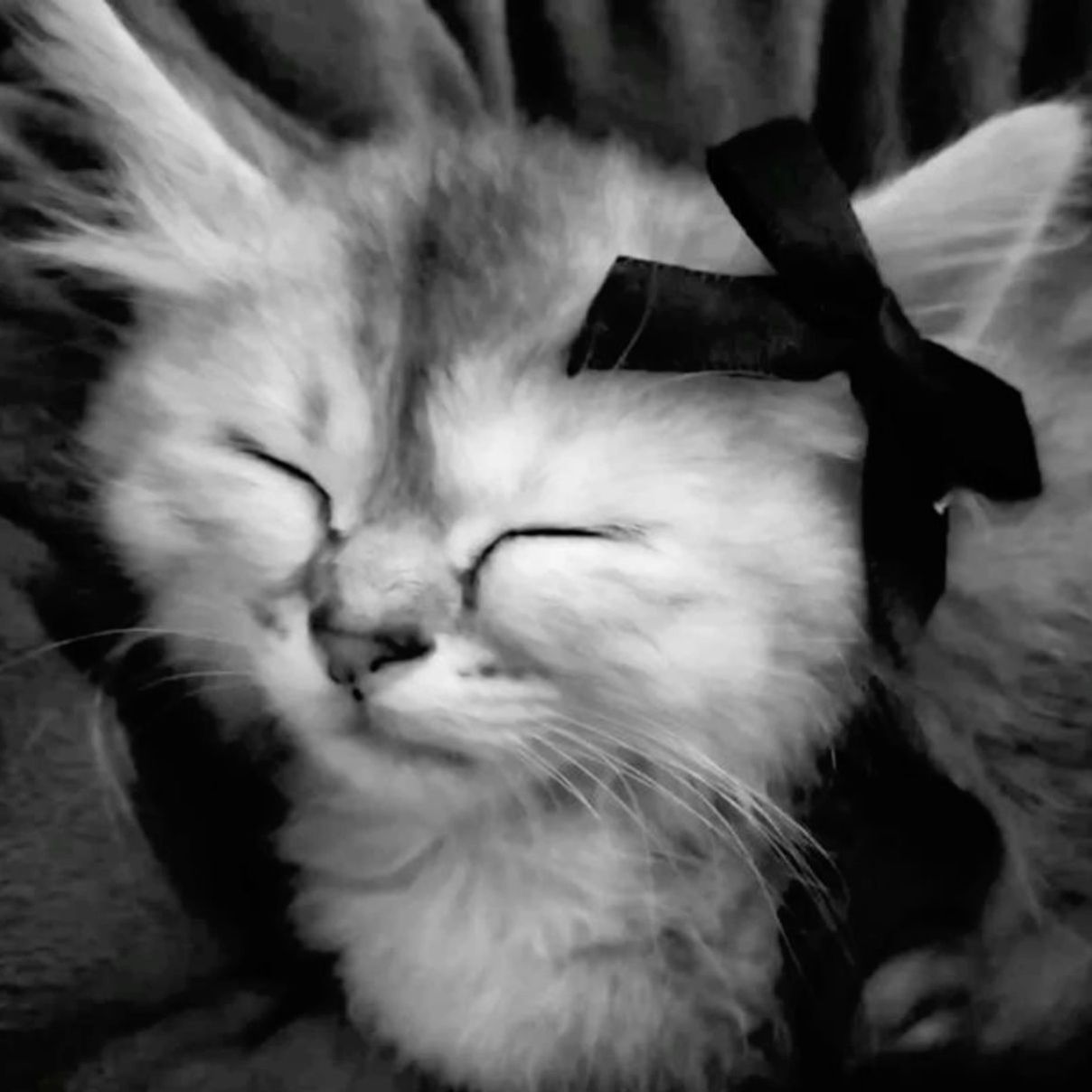 Иконка канала зимняя дева\\\\\