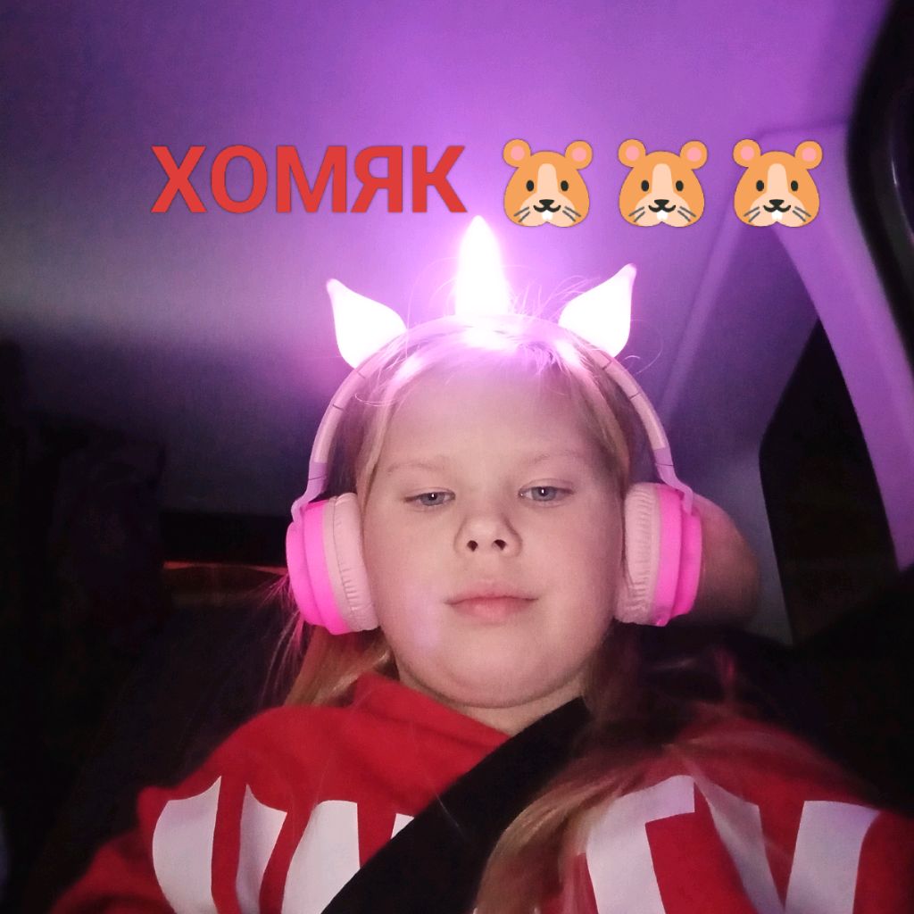 Иконка канала Хомяк Ассорти