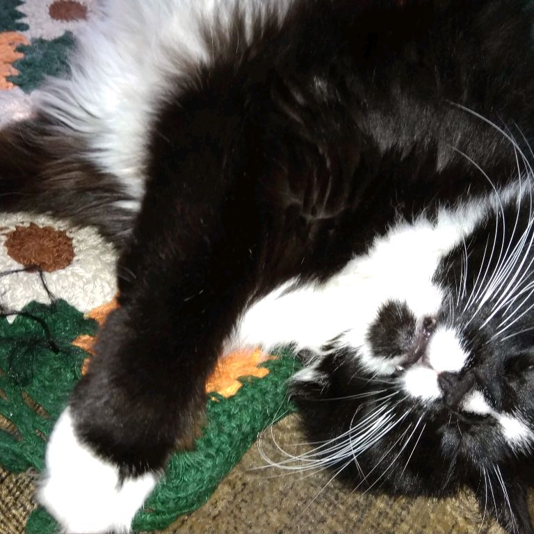 Иконка канала СПб - Ольга М.