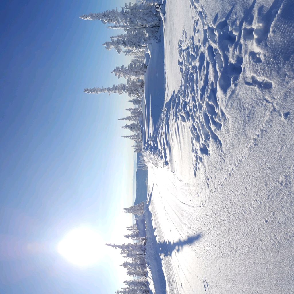 Иконка канала Я САМ