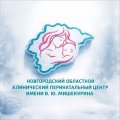 Иконка канала Новгородский перинатальный центр