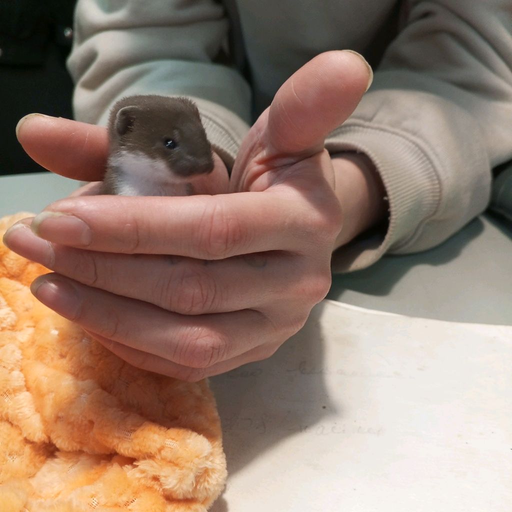 Иконка канала Джек Си 18