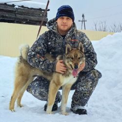 Иконка канала МУЖСКОЕ HOBBY