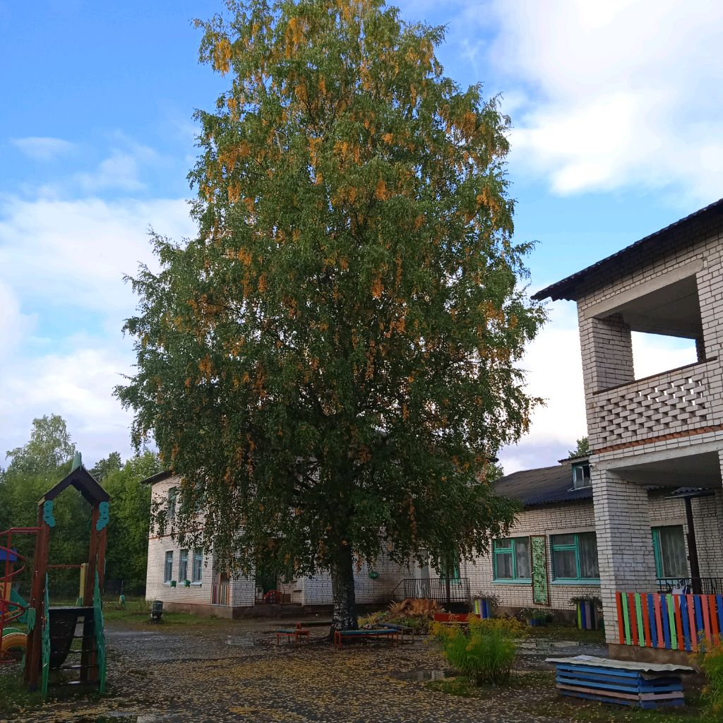 Иконка канала МАДОУ "Детский сад №1" р.п.Хвойная