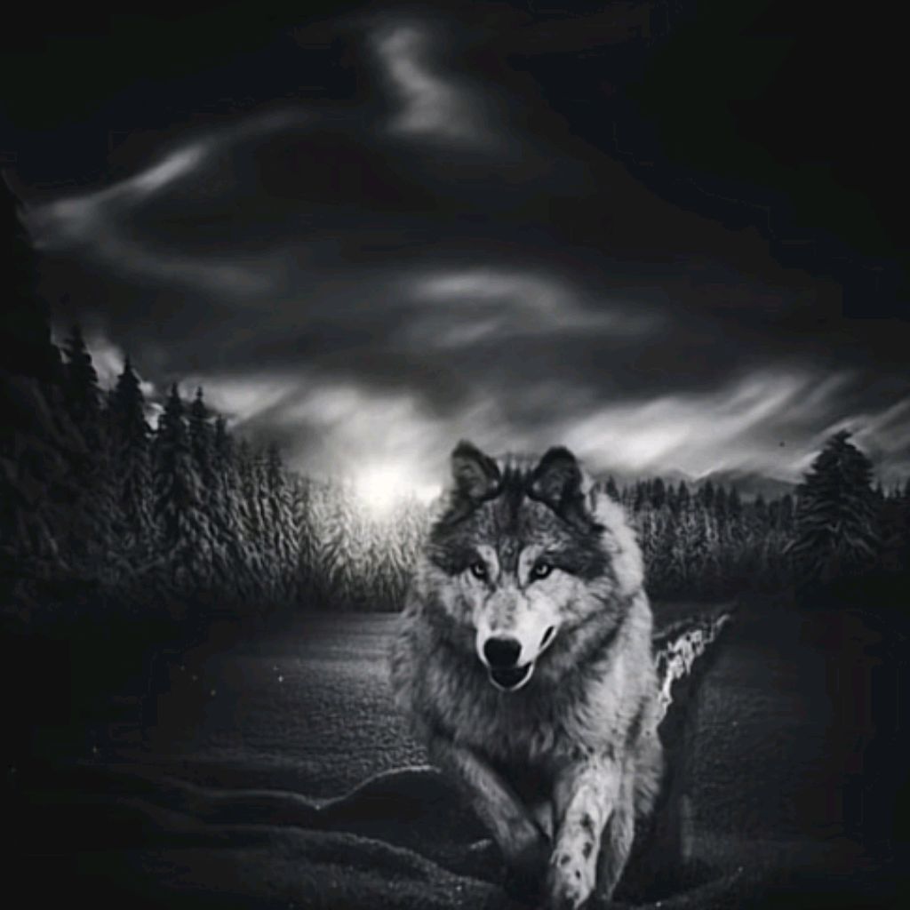 Иконка канала Лесные "Друзья"