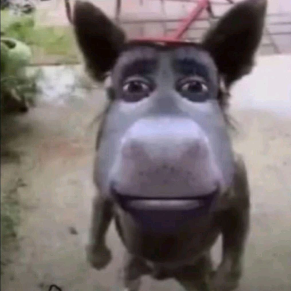 Иконка канала Ergochannel72523686