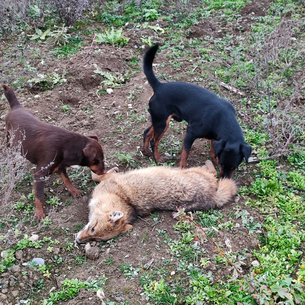 Иконка канала Tamik - Hanter