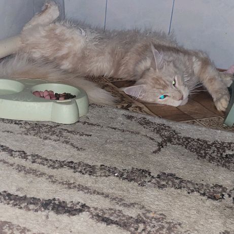 Иконка канала Рома Спрайт  2.0