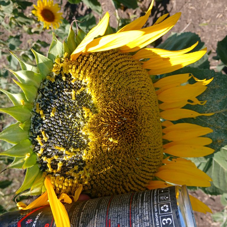 Иконка канала @leonid-Механизатор