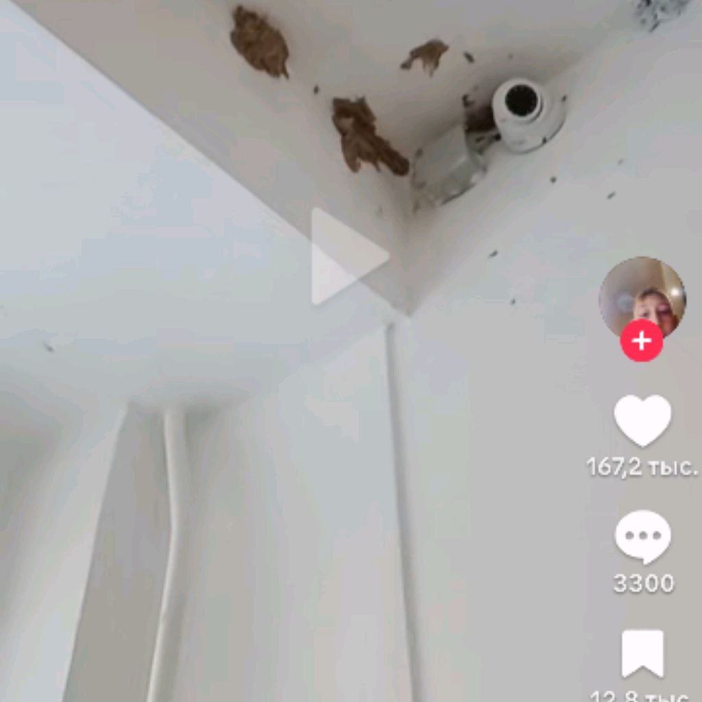 Иконка канала Пвз