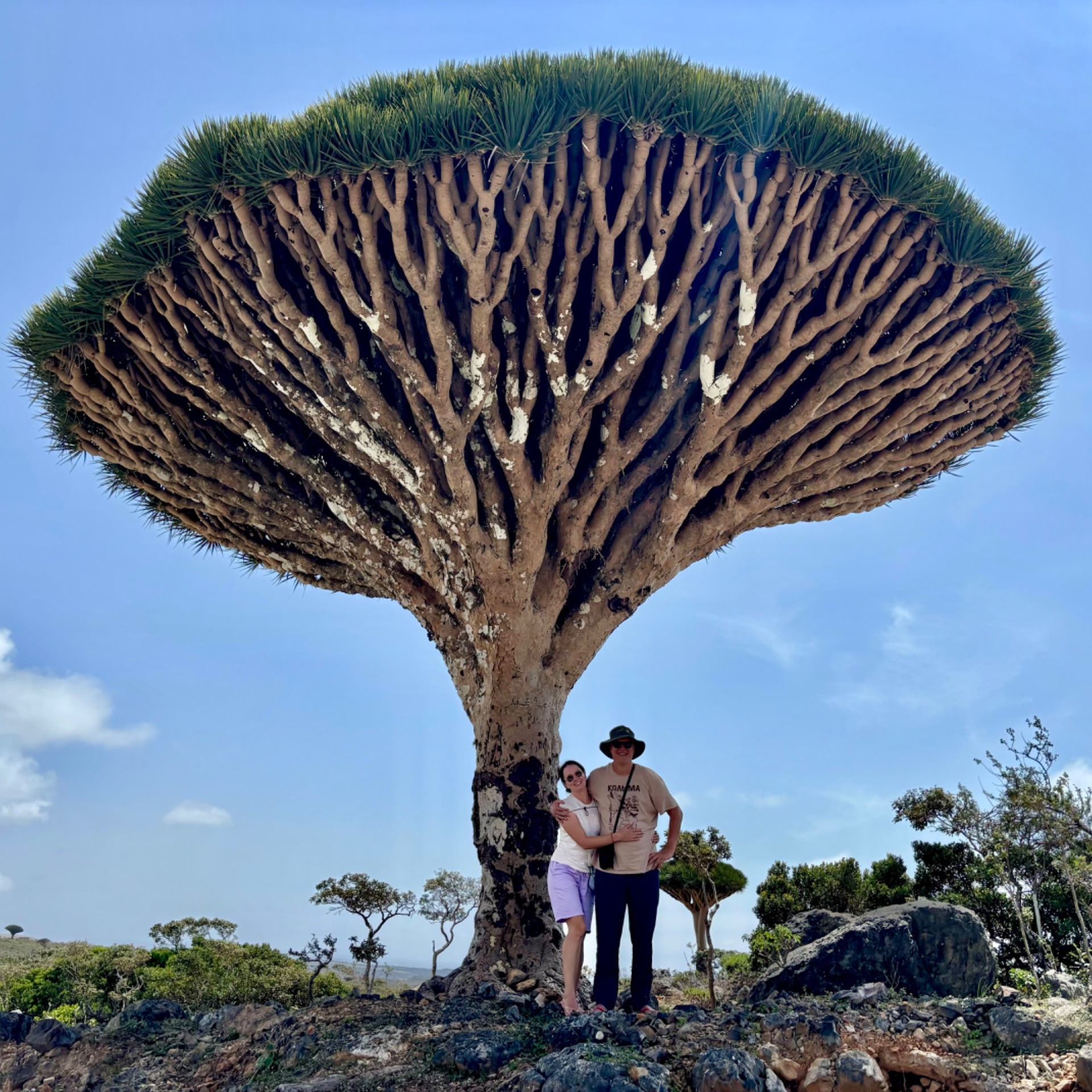 Иконка канала 214 стран за плечами