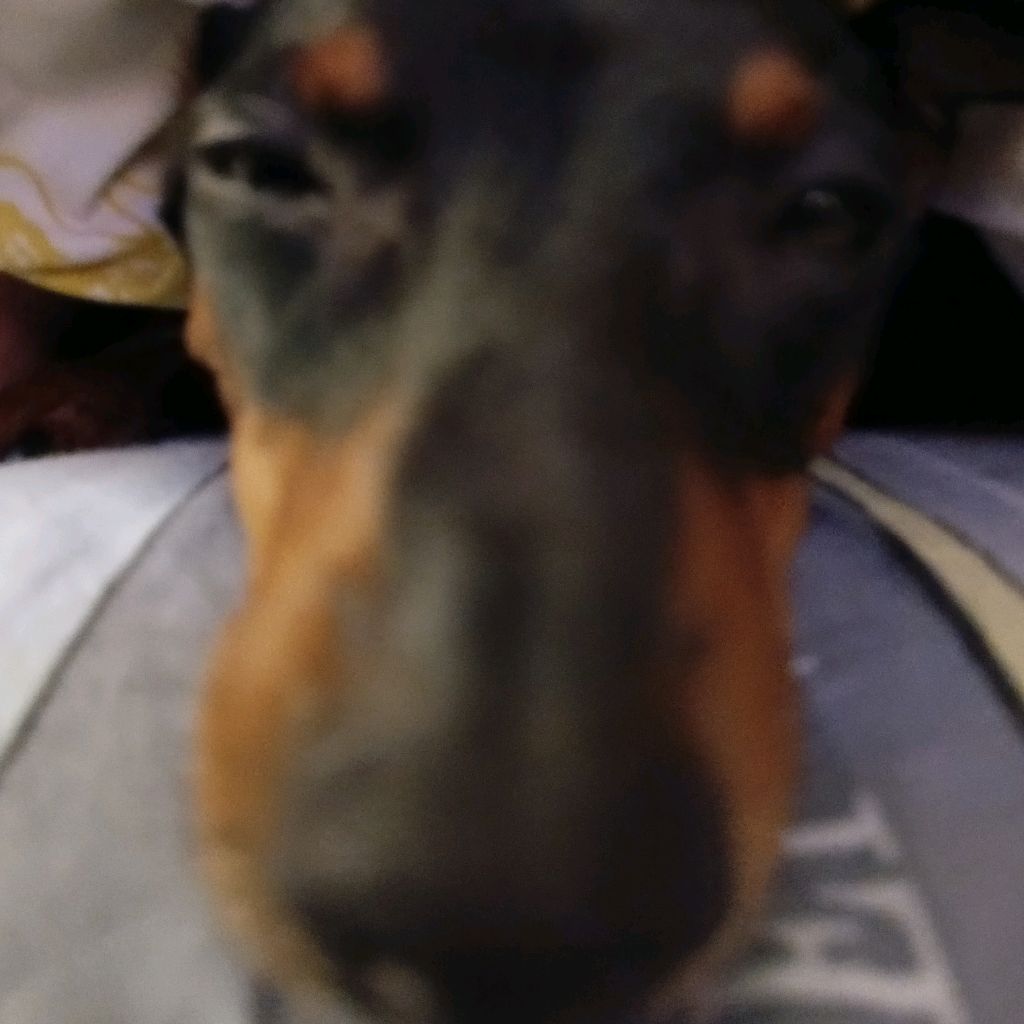 Иконка канала Канал