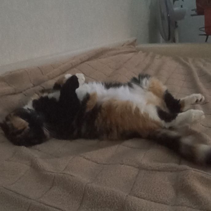 Иконка канала Милана мил