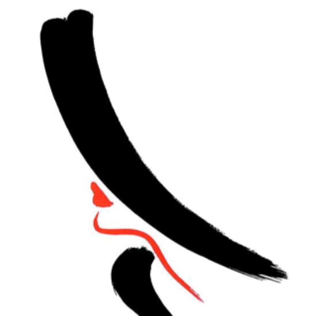 Иконка канала Holinoli