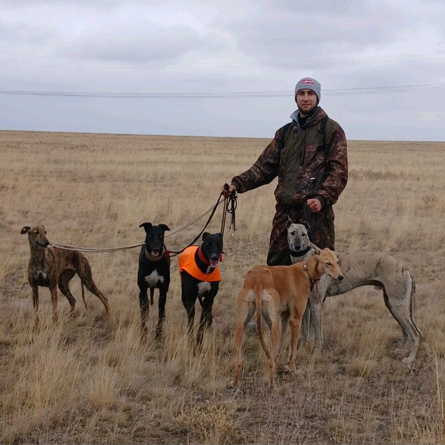 Иконка канала Алексей Шмелёв.Охота с борзыми